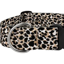 Country Brook Petz HossFit Jr Wide Deluxe Dog Collar - Animal Print Collection -Pet Supplies Online GUEST c25fc6b5 9165 4463 992e ace94fdb080e