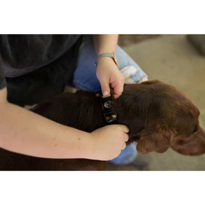 Country Brook Petz Premium Woodland Camo HD Dog Collar 7 Country Brook Petz Premium Woodland Camo HD Dog Collar - Image 5