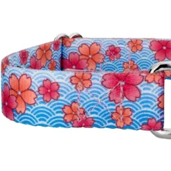 Country Brook Petz Martingale Dog Collar - Spring Collection -Pet Supplies Online GUEST c576c9b7 4d47 4246 b9c6 86da97303feb