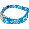 Country Brook Petz Premium Blue Hawaiian Dog Collar