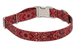 Country Brook Petz Premium Red Bandana Dog Collar -Pet Supplies Online GUEST c5a9ab98 2598 40a9 8bde cdc7c1148039