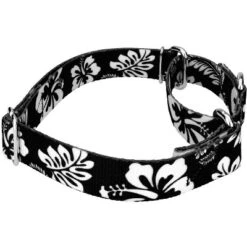 Country Brook Petz - Black Hawaiian Martingale Dog Collar 13 Country Brook Petz - Black Hawaiian Martingale Dog Collar -Pet Supplies Online GUEST c5e40901 faa7 490d a079 8e677d04e5cc