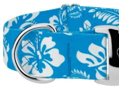 Country Brook Petz 1 1/2 Inch Premium Blue Hawaiian Dog Collar -Pet Supplies Online GUEST c65aec90 d58c 4249 8863 1ca65517a073