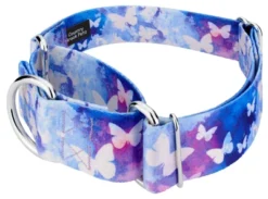 Country Brook Petz 1 1/2 Inch Watercolor Butterflies Martingale Dog Collar