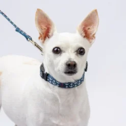 Country Brook Petz Deluxe Dog Collar - Summer Breeze Collection - Made In The U.S.A. -Pet Supplies Online GUEST c69b3361 f7a3 422d 911e a35160b8cd91