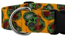 Country Brook Petz 1 1/2 Inch Deluxe Sugar Skulls Dog Collar -Pet Supplies Online GUEST c6a3fee3 8cc3 46d5 a320 cccef4a4b126