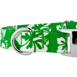 Country Brook Petz Premium Kelly Green Hawaiian Dog Collar -Pet Supplies Online GUEST c6b072e2 cf4a 4d22 b389 7f0198abc0d0