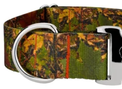 Country Brook Petz 1 1/2 Inch Premium Southern Forest Camo Dog Collar -Pet Supplies Online GUEST c817ad76 992d 41a6 ac6b 4fea338590f3