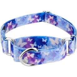 Country Brook Petz - Watercolor Butterflies Martingale Dog Collar -Pet Supplies Online GUEST c8b1ac42 01ec 4564 9468 20877a2b6d0c
