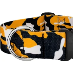 Country Brook Petz HossFit Jr Wide Deluxe Dog Collar - Sports And Athletics Collection -Pet Supplies Online GUEST c978ed1b ebad 4679 899e 83c1f10aaa6a
