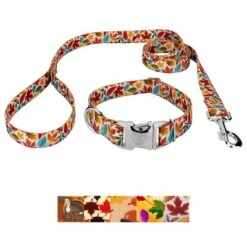 Country Brook Petz Premium Collar And Leash - Awesome Autumn Collection -Pet Supplies Online GUEST c985d951 71a1 4f93 8a50 69e76de9a8c0