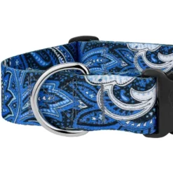 Country Brook Petz HossFit Jr Wide Deluxe Dog Collar - Paisley Collection -Pet Supplies Online GUEST cb150098 fd27 4286 bf1c f12cd879506e