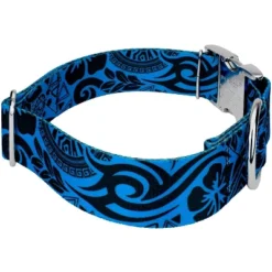 Country Brook Petz HossFit Jr Wide Premium Dog Collar - Attitude Collection -Pet Supplies Online GUEST cb94ac4b a4e5 4f07 a32a 54b9864bd725