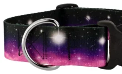 Country Brook Petz 1 1/2 Inch Deluxe Heavenly Space Dog Collar -Pet Supplies Online GUEST cc642370 079a 4bdc 9ced 7d01a00c1c46