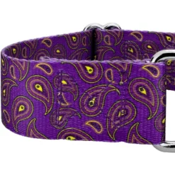 Country Brook Petz 1 1/2 Inch Purple Paisley Martingale Dog Collar -Pet Supplies Online GUEST cc825df1 d503 4d08 83ab bfa67381a462