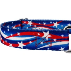 Country Brook Petz - Star Spangled Martingale Dog Collar -Pet Supplies Online GUEST cc86b0aa 72b4 40c0 bb6b f3bbf32a87ac