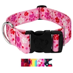 Country Brook Petz HossFit Jr Wide Deluxe Dog Collar - Affection Collection 9 Country Brook Petz HossFit Jr Wide Deluxe Dog Collar - Affection Collection -Pet Supplies Online GUEST cc97e1f0 9ad8 4f7b 9ed8 e42dc863fe0e
