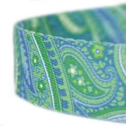 Country Brook Design® 1 Inch Green Paisley Leash - 6 Feet -Pet Supplies Online GUEST cca08f97 1335 4705 bbdd 789b4fcbe523 1