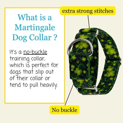 Country Brook Petz HossFit Jr Wide Martingale Dog Collar - Irish Pride 4 Country Brook Petz HossFit Jr Wide Martingale Dog Collar - Irish Pride - Image 2