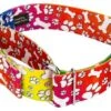 Country Brook Petz 1 1/2 Inch Trippy Doggo Martingale Dog Collar
