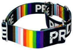 Country Brook Petz 1 1/2 Inch Pride Martingale Dog Collar 11 Country Brook Petz 1 1/2 Inch Pride Martingale Dog Collar -Pet Supplies Online GUEST cdcded57 17c4 436d a7eb fa3a5dddb2f1