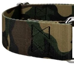 Country Brook Petz 1 1/2 Inch Woodland Camo Martingale Dog Collar -Pet Supplies Online GUEST cf7719ea 7670 4927 b5fc b05e7e0f615d