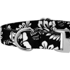 Country Brook Petz Premium Black Hawaiian Dog Collar And Leash -Pet Supplies Online GUEST cfe534e3 53ca 40e3 b911 70cc5e080fbb 1