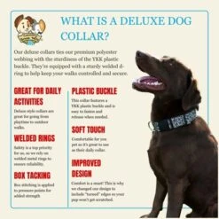 Country Brook Petz Deluxe Leopard Print Dog Collar - Made In The U.S.A. (1/2 Inch, Extra Small) -Pet Supplies Online GUEST d0615340 a20d 41e9 8f31 77eebbe933f4