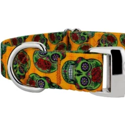 Country Brook Petz Premium Sugar Skulls Dog Collar -Pet Supplies Online GUEST d097b5d7 de62 4927 82c4 f951b8dc50c5 1