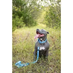 Country Brook Petz Martingale Dog Collar - Camouflage Collection -Pet Supplies Online GUEST d0c86718 10b1 48b7 b232 0f05a07f2e78