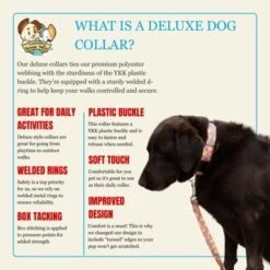 Country Brook Petz Deluxe Dog Collar - Made In The U.S.A. - Tasty Collection -Pet Supplies Online GUEST d100074f 5c34 4fb6 a605 a7810f0e0b4a