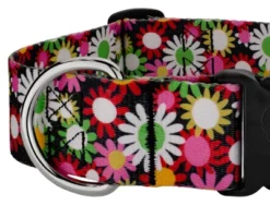 Country Brook Petz 1 1/2 Inch Deluxe Daisy Fields Dog Collar -Pet Supplies Online GUEST d12c7bcf ee55 490e 993b 03bf2aa26520