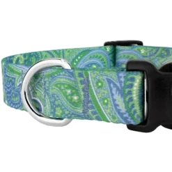 Country Brook Petz Deluxe Green Paisley Dog Collar - Made In The U.S.A. (3/4 Inch, Small) -Pet Supplies Online GUEST d282aed2 8506 4b34 9e1c c5af32b3a552