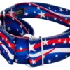 Country Brook Petz 1 1/2 Inch Star Spangled Martingale Dog Collar -Pet Supplies Online GUEST d2fb9e91 39a0 487d b87d 7aa5a70b5ffb