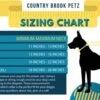 Country Brook Petz Premium Just Ducky Dog Collar 1 Country Brook Petz Premium Just Ducky Dog Collar -Pet Supplies Online GUEST d33197d7 39ff 4cd4 85f1 07c56735932b 1