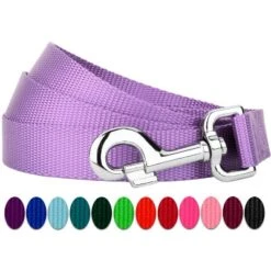 Country Brook Petz 6ft By 1 Inch Heavyduty Doublehandle Nylon Leash -Pet Supplies Online GUEST d34e9c22 58a5 4681 9d5f ea59f85b1158