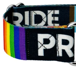 Country Brook Petz 1 1/2 Inch Pride Martingale Dog Collar 12 Country Brook Petz 1 1/2 Inch Pride Martingale Dog Collar -Pet Supplies Online GUEST d356b2f3 b045 45d4 a29a 44177a4ae44b