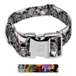 Country Brook Petz HossFit Jr Wide Premium Dog Collar - Halloween Collection -Pet Supplies Online GUEST d384ce27 5735 4158 bdc0 4f747c3d9c59