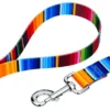 Country Brook Petz Serape Dog Leash (4 Foot, 1 Inch)