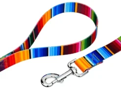 Country Brook Petz Serape Dog Leash (6 Foot, 5/8 Inch Wide)