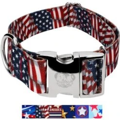 Country Brook Petz HossFit Jr Wide Premium Dog Collar - Americana Collection 7 Country Brook Petz HossFit Jr Wide Premium Dog Collar - Americana Collection -Pet Supplies Online GUEST d478e3ac f9b0 46b5 857a 1719ed9b3f3b