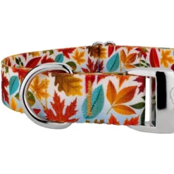 Country Brook Petz Premium Brisk Autumn Dog Collar -Pet Supplies Online GUEST d4c2178a 9494 48d9 ba5b 83763bf53d5b