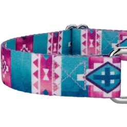 Country Brook Petz Albuquerque Martingale Dog Collar And Leash -Pet Supplies Online GUEST d51b884d 9bc7 42f1 ab28 cb656d481f9b 1