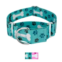 Country Brook Petz HossFit Jr Wide Martingale Dog Collar - Dog's Life Collection 23 Country Brook Petz HossFit Jr Wide Martingale Dog Collar - Dog's Life Collection -Pet Supplies Online GUEST d526368f dc59 4453 ab82 096dd4ebc06d