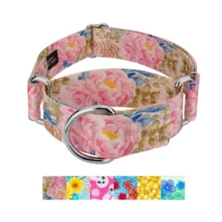 Country Brook Petz HossFit Jr Wide Martingale Dog Collar - Spring Collection -Pet Supplies Online GUEST d534f185 5697 4ffd 8ce2 f38322b1bbe7