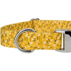 Country Brook Petz Premium Spring Cottagecore Dog Collar -Pet Supplies Online GUEST d584e080 545f 4232 9c4a 30a12a0cd663