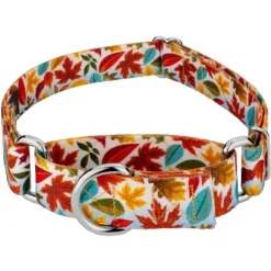 Country Brook Petz Brisk Autumn Martingale Dog Collar -Pet Supplies Online GUEST d5ada4e2 0ea1 46b0 ae99 e798b5ec0ed0