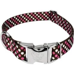Country Brook Petz Premium Shibuya Dog Collar Limited Edition -Pet Supplies Online GUEST d5d7ad37 2b6a 4ab9 a8ea 6f7e48e21e4c