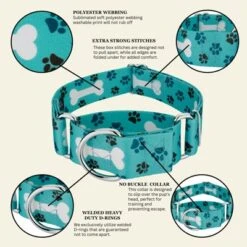 Country Brook Petz HossFit Jr Wide Martingale Dog Collar - Dog's Life Collection 17 Country Brook Petz HossFit Jr Wide Martingale Dog Collar - Dog's Life Collection -Pet Supplies Online GUEST d72c41e5 df7a 450b 96e2 90ba0c51b09f