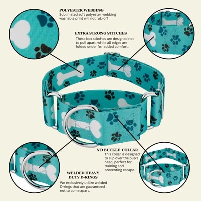 Country Brook Petz HossFit Jr Wide Martingale Dog Collar - Dog's Life Collection 7 Country Brook Petz HossFit Jr Wide Martingale Dog Collar - Dog's Life Collection - Image 5